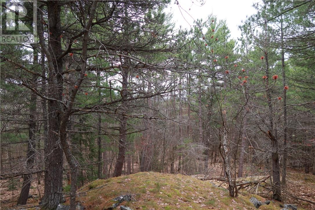 00 Faraway Property Photo 11