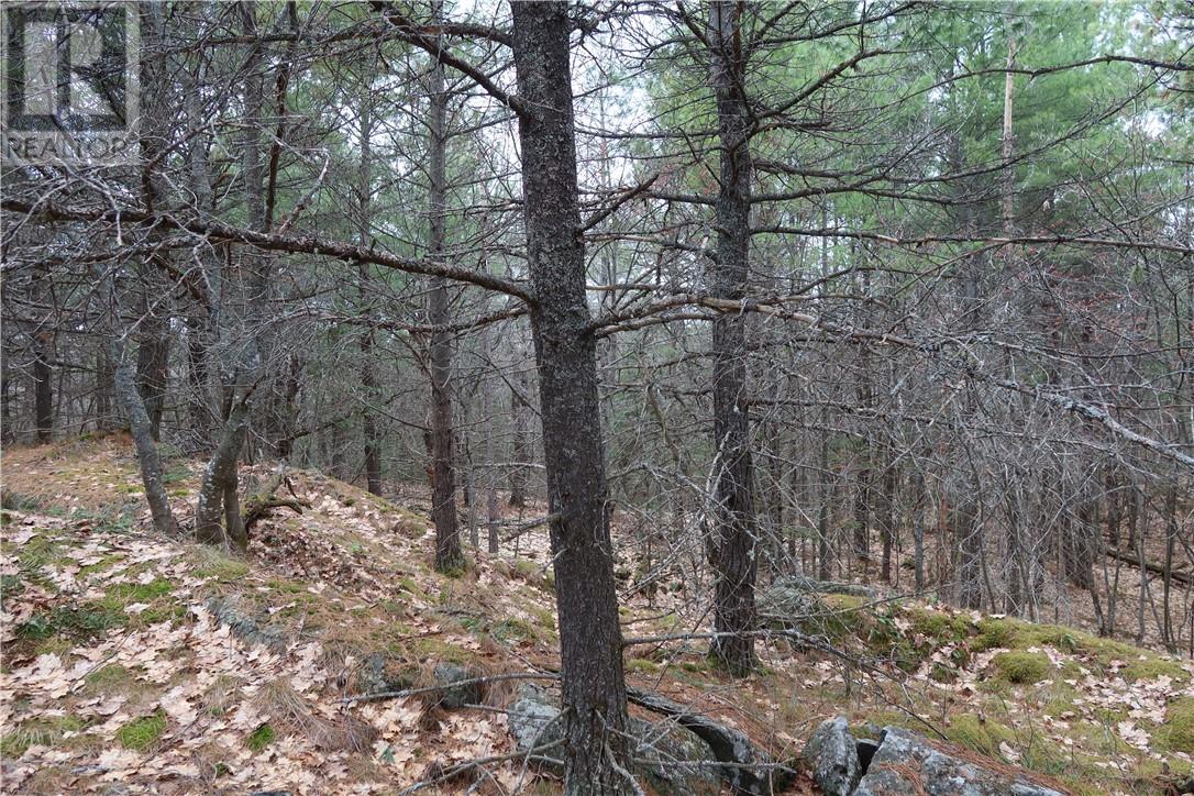 00 Faraway Property Photo 12