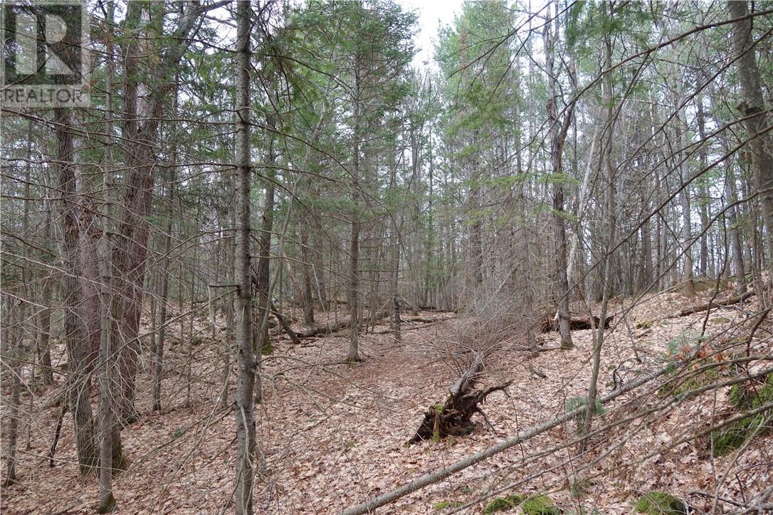 00 Faraway Property Photo 13