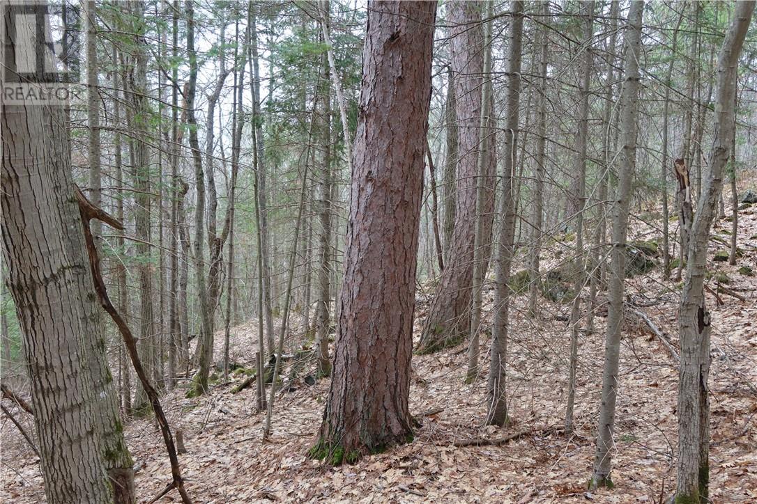 00 Faraway Property Photo 14