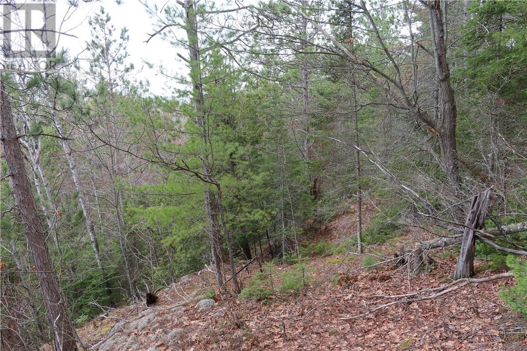 00 Faraway Property Photo 15