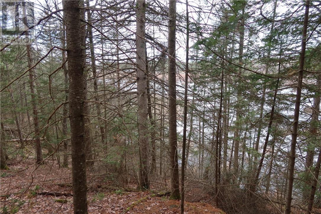 00 Faraway Property Photo 16