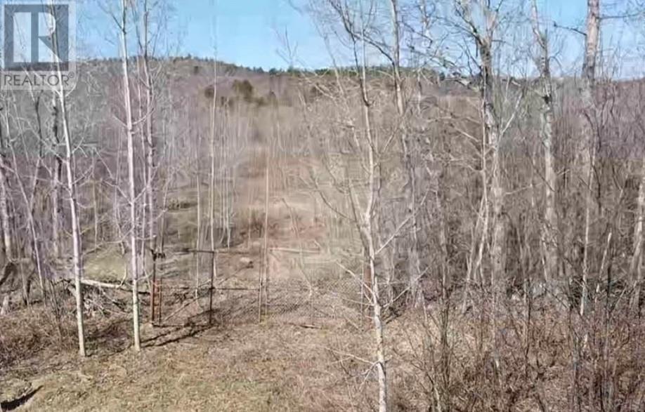0 Ckso Road Property Photo 3