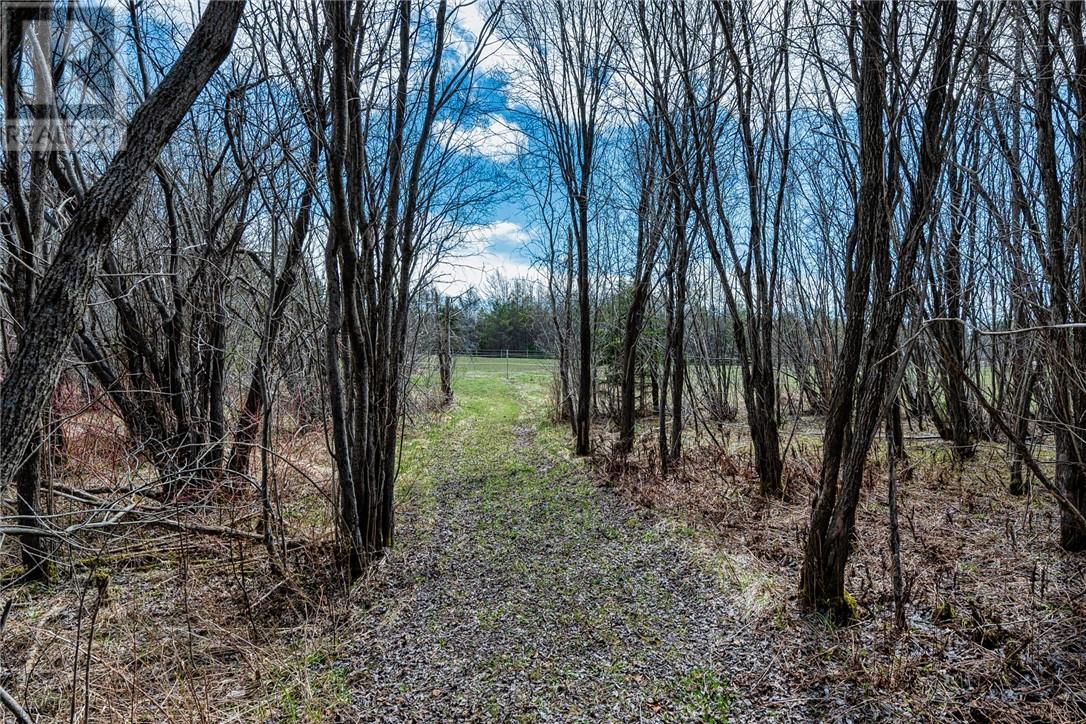 3599 Highway 64 Property Photo 14