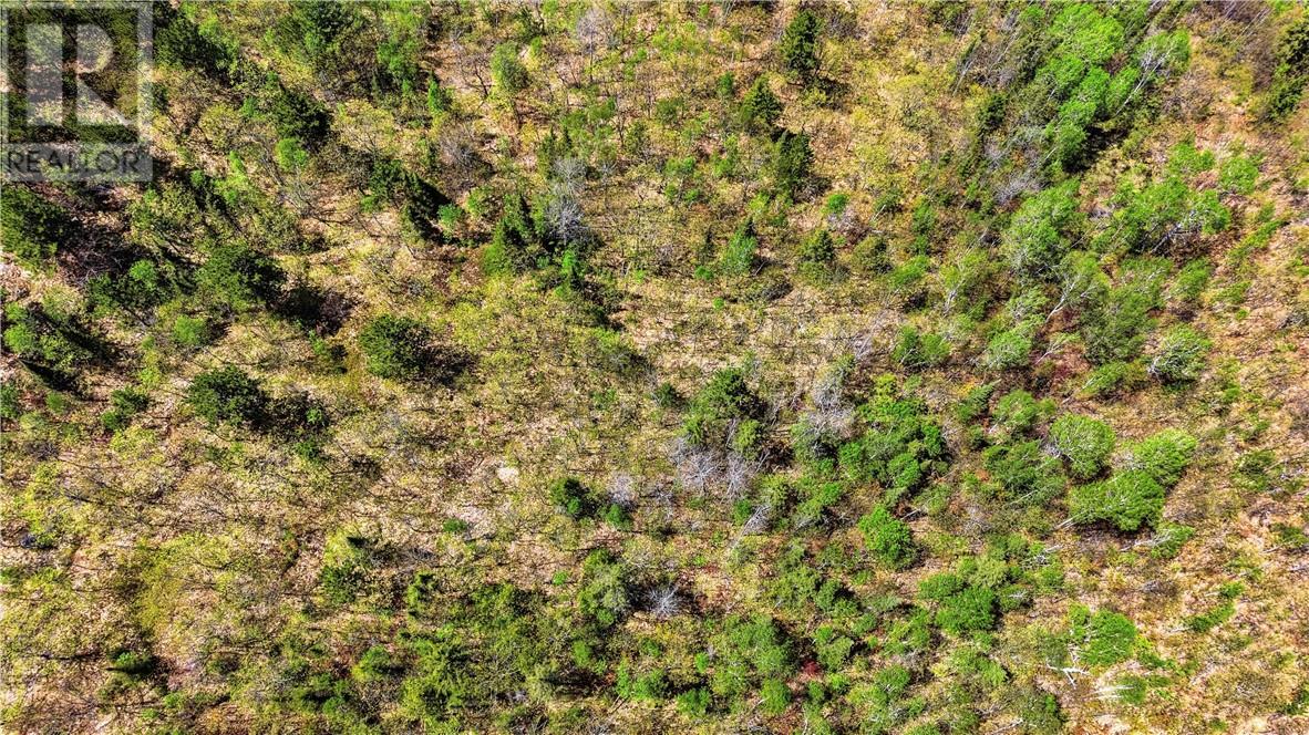Lot 1 Makada Road Property Photo 5