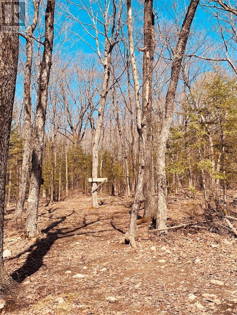 163 Checkerboard Lane Property Photo 17