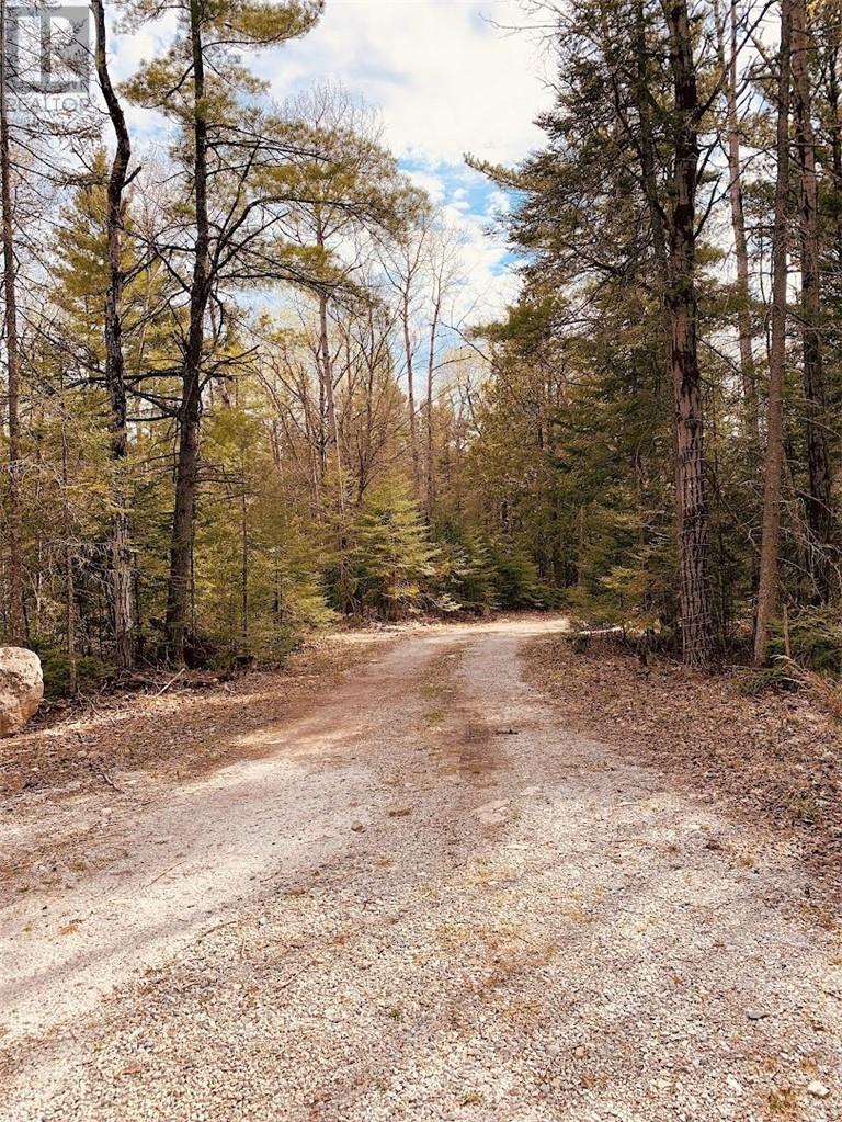 163 Checkerboard Lane Property Photo 18