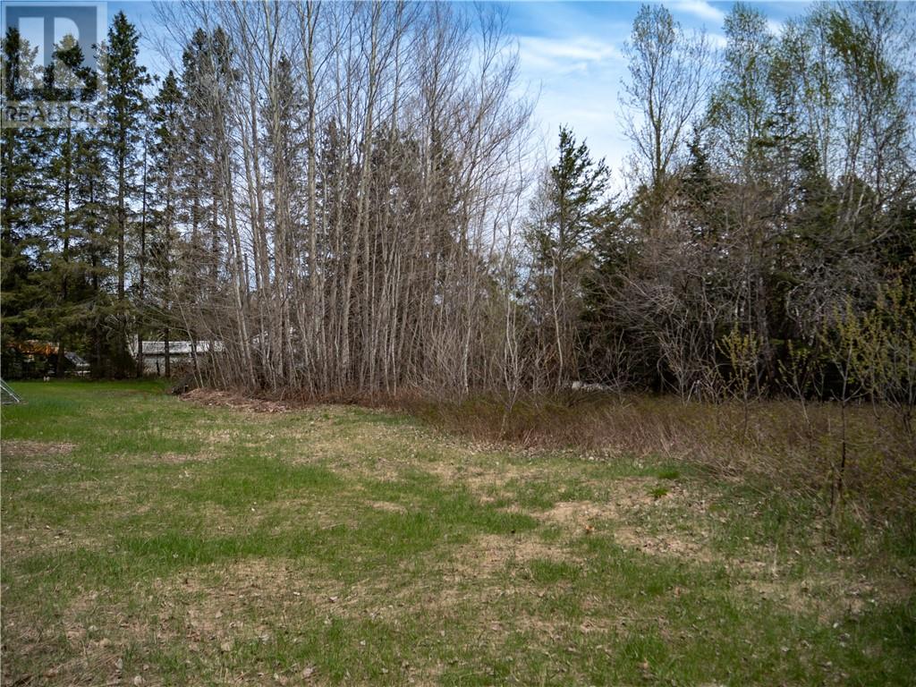 0 Paul Property Photo 12