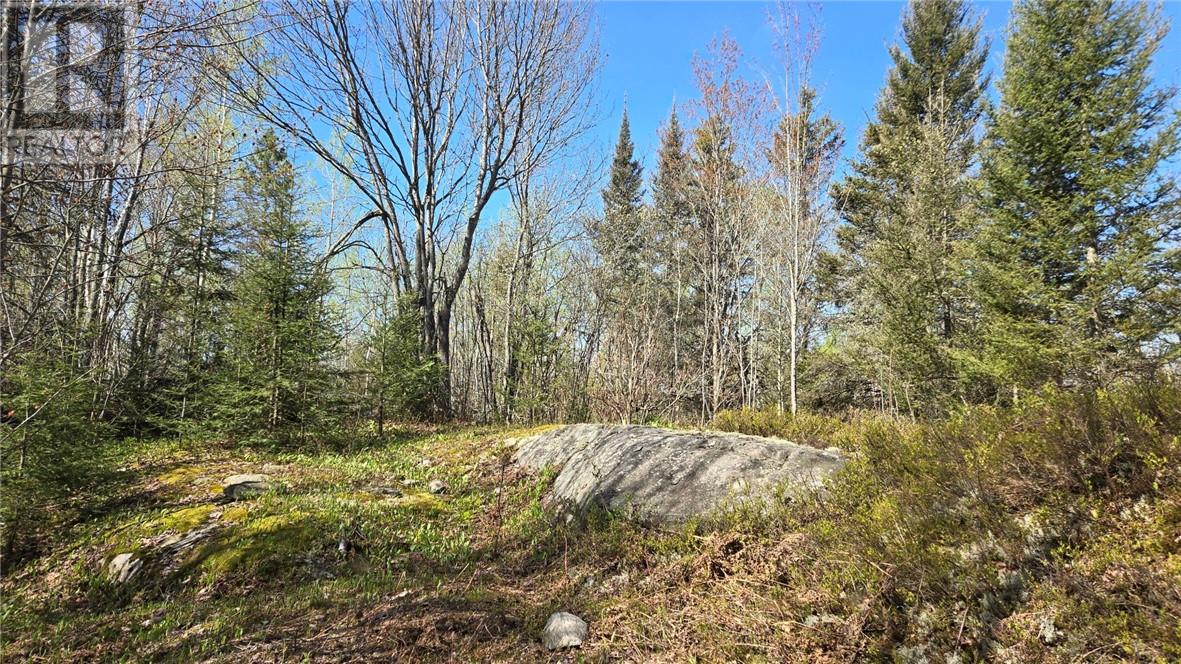 Lot 6 Con 3 Rabbit Trail Road Property Photo 2