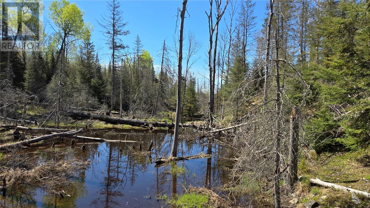 Lot 6 Con 3 Rabbit Trail Road Property Photo 3