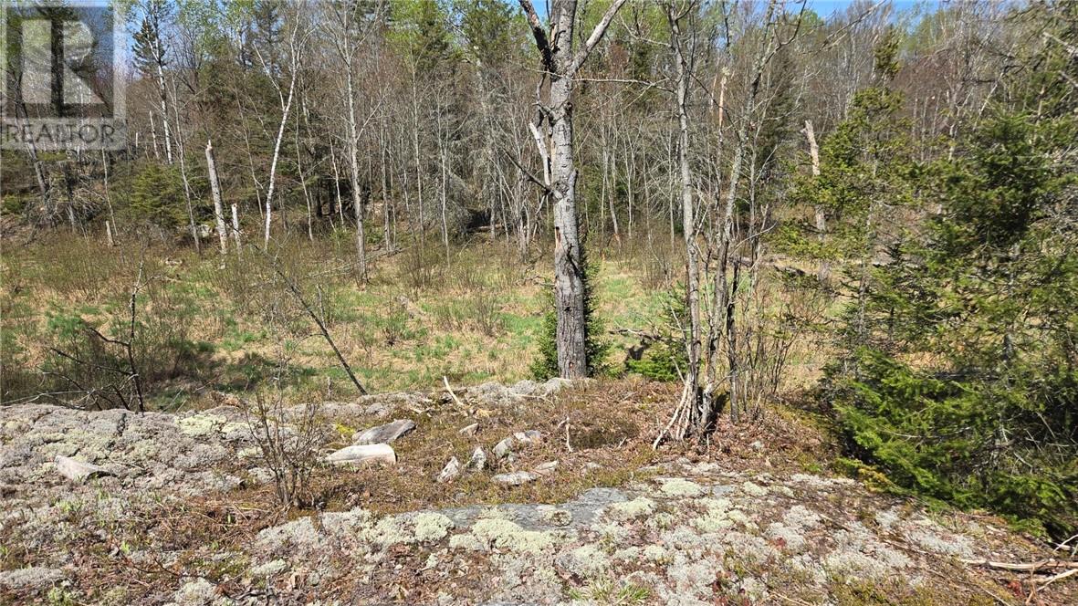 Lot 6 Con 3 Rabbit Trail Road Property Photo 4