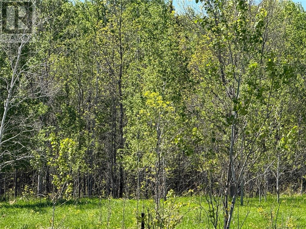 N/a Lagoon Lane Property Photo 3