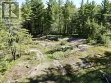 339 Dry Pine Road Property Photo 9