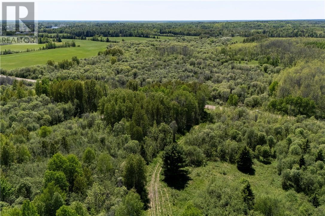 Lot 0 De L'etang Property Photo 12