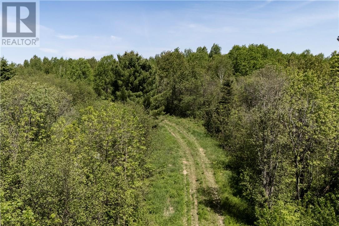 Lot 0 De L'etang Property Photo 13