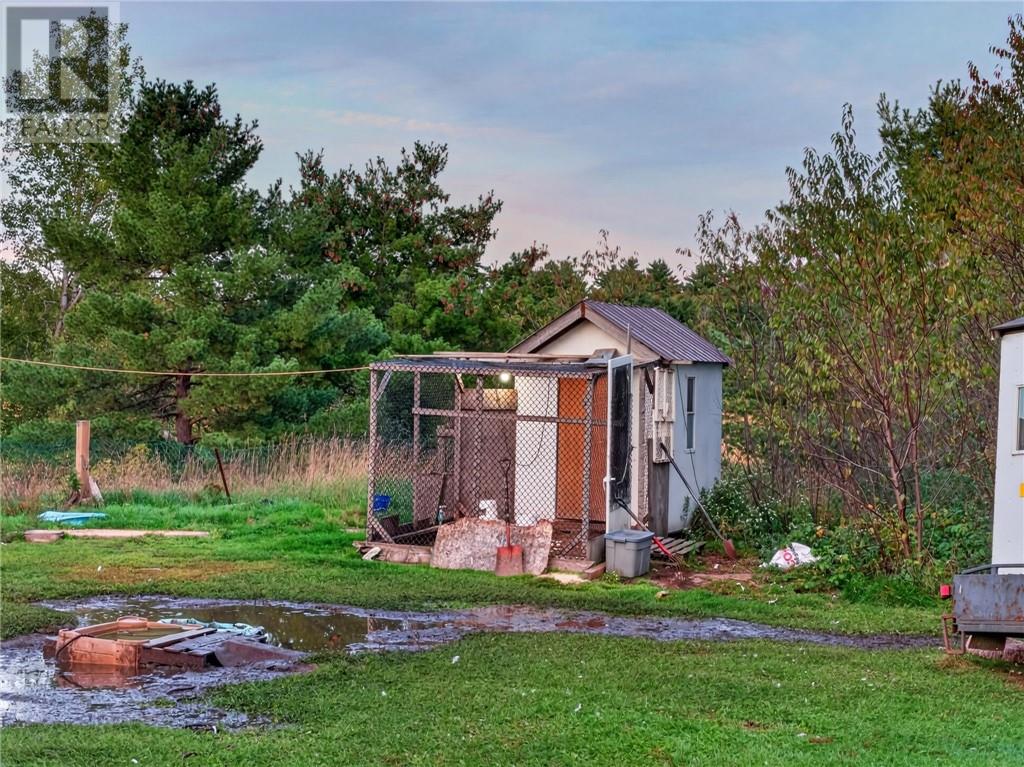 9859 Highway 64 Property Photo 54