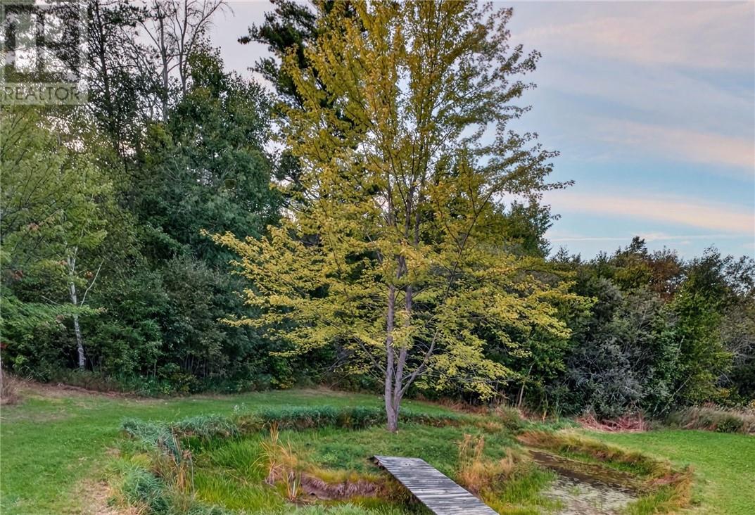 9859 Highway 64 Property Photo 67