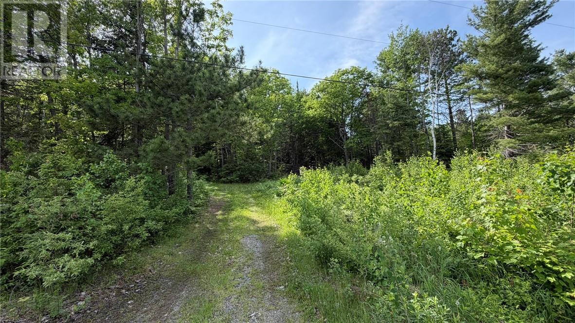 1206 West Bay Road Property Photo 6