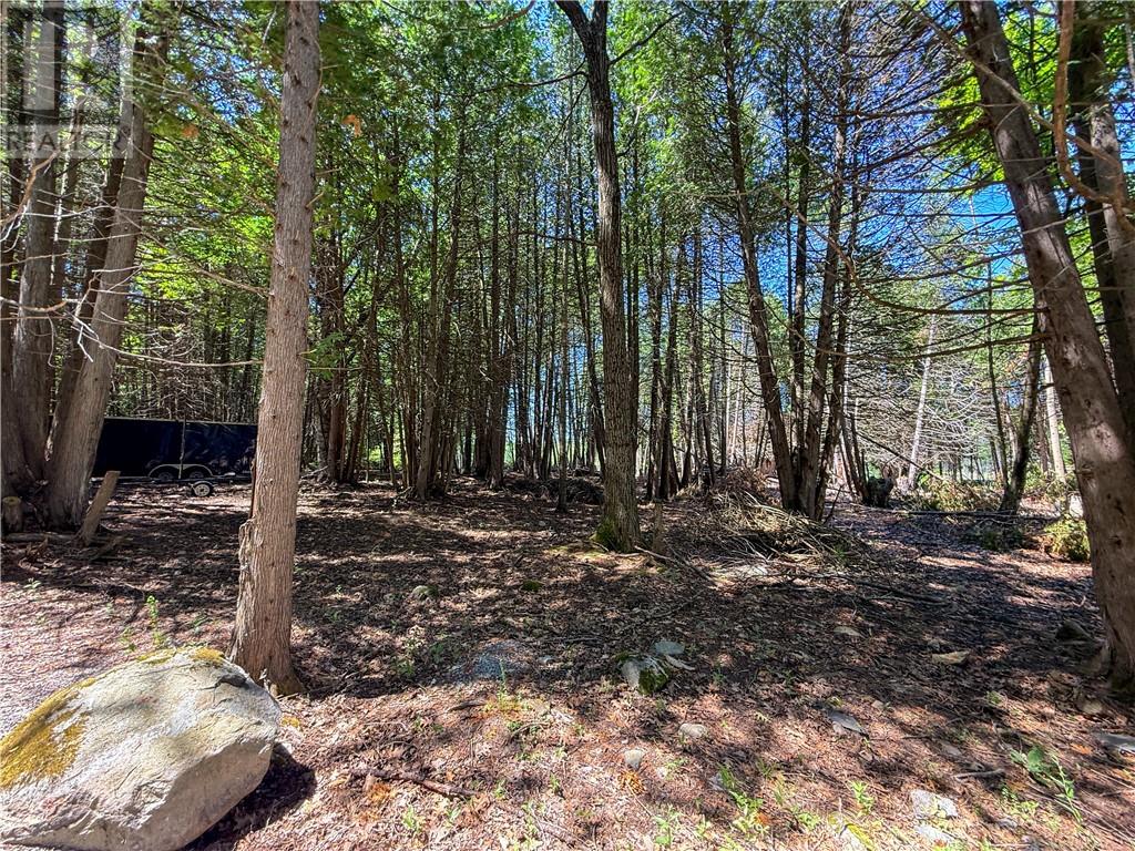 514c East Road Property Photo 17