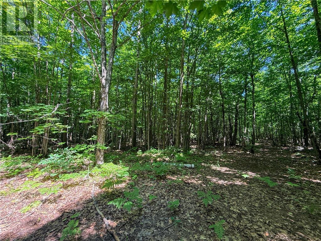514c East Road Property Photo 29