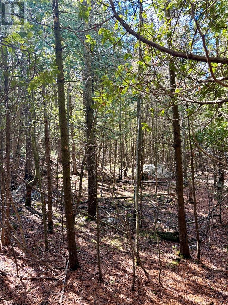 Lot 12 Lake Huron Drive Property Photo 18