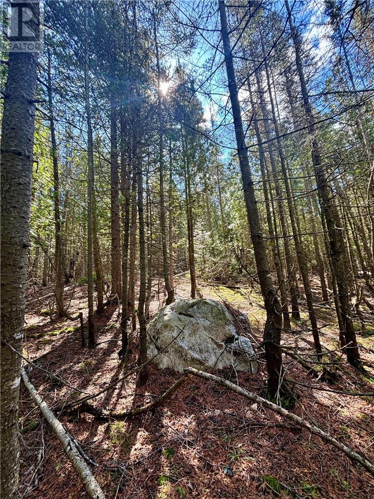 Lot 12 Lake Huron Drive Property Photo 19