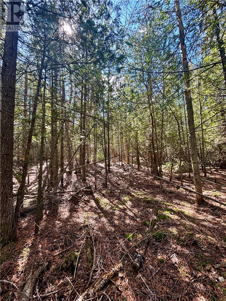 Lot 12 Lake Huron Drive Property Photo 20