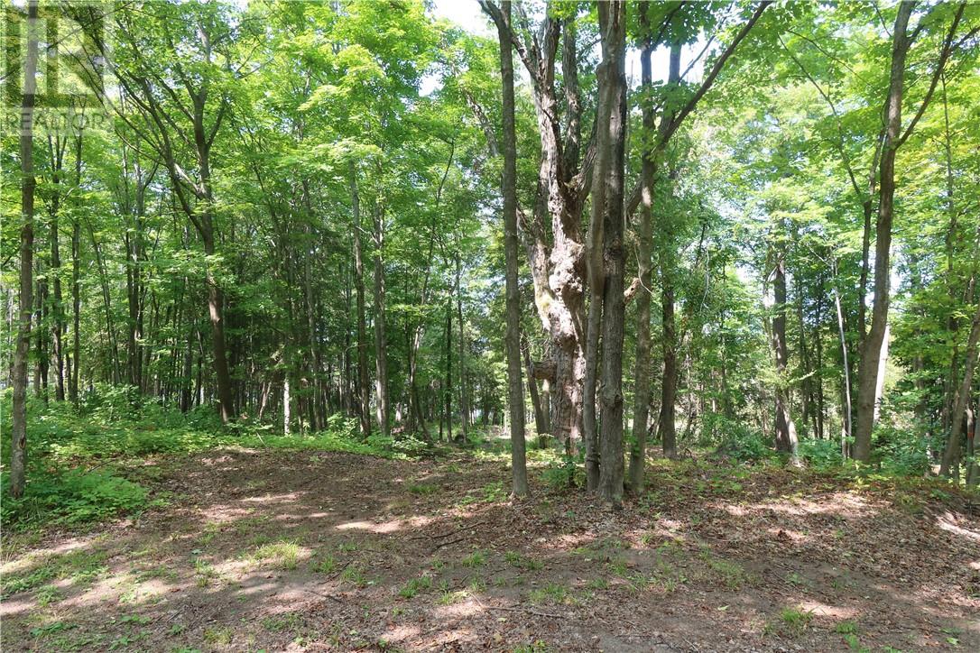 272 Perry Ave Property Photo 18