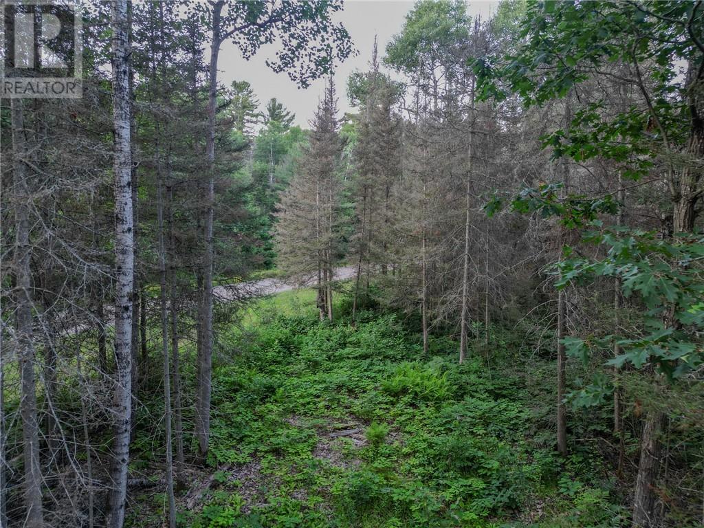 382 Old Webbwood Road Unit# Lot 1 Property Photo 5