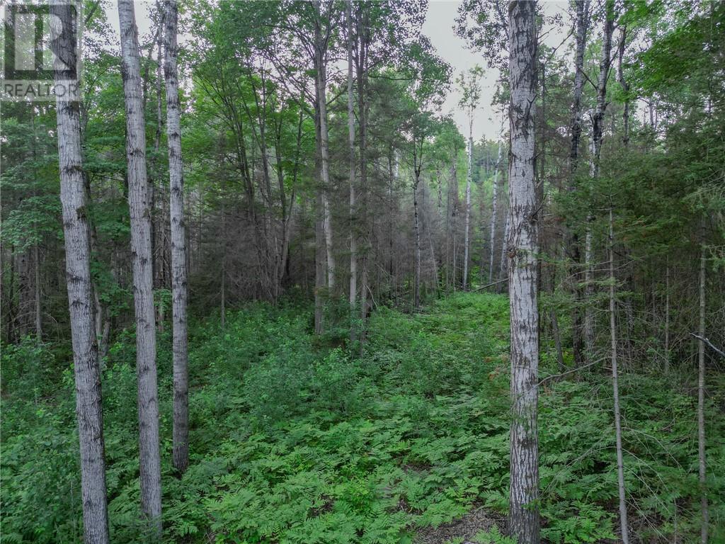 382 Old Webbwood Road Unit# Lot 1 Property Photo 7