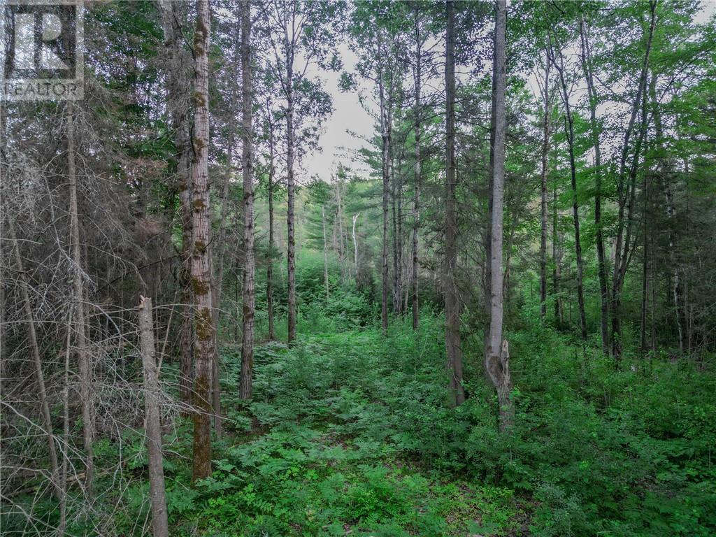 382 Old Webbwood Road Unit# Lot 1 Property Photo 8