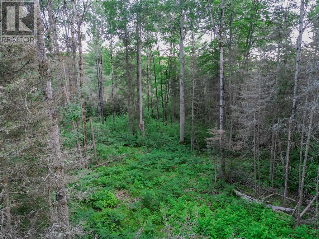 382 Old Webbwood Road Unit# Lot 1 Property Photo 9