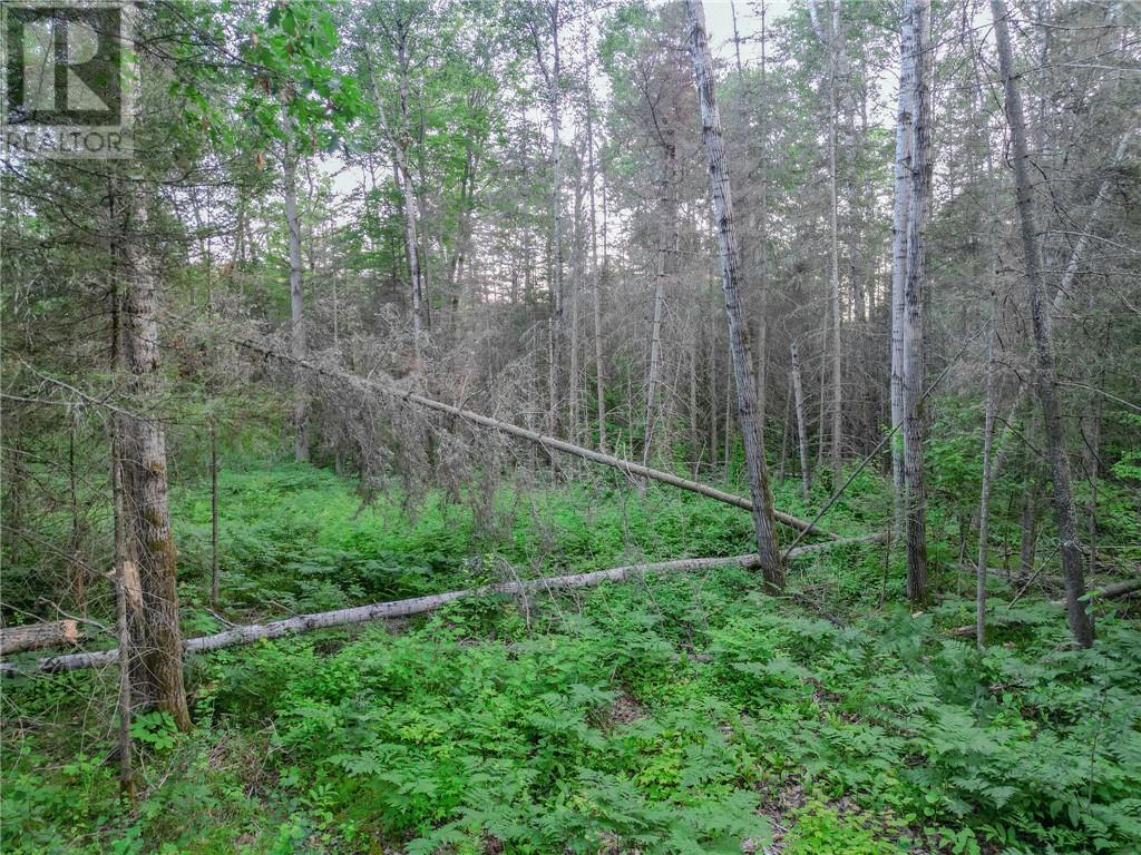 382 Old Webbwood Road Unit# Lot 1 Property Photo 10