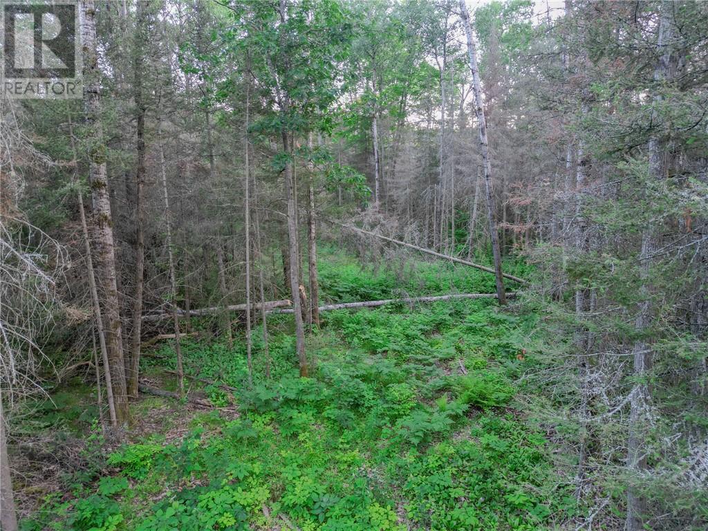 382 Old Webbwood Road Unit# Lot 1 Property Photo 11