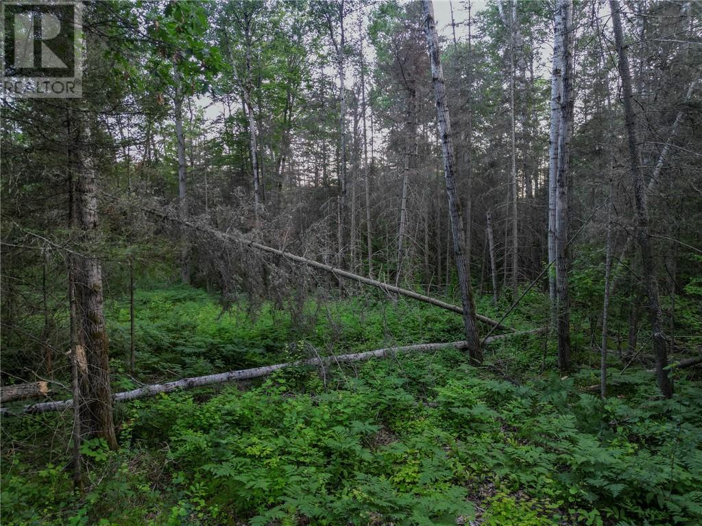 382 Old Webbwood Road Unit# Lot 1 Property Photo 12