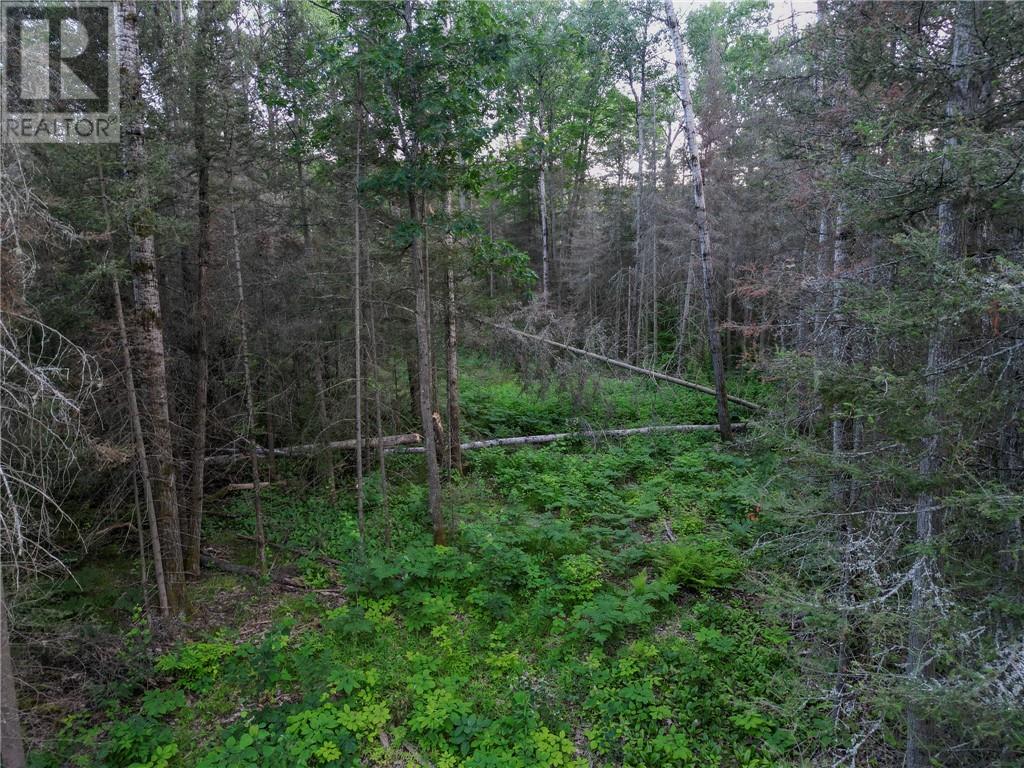382 Old Webbwood Road Unit# Lot 1 Property Photo 13