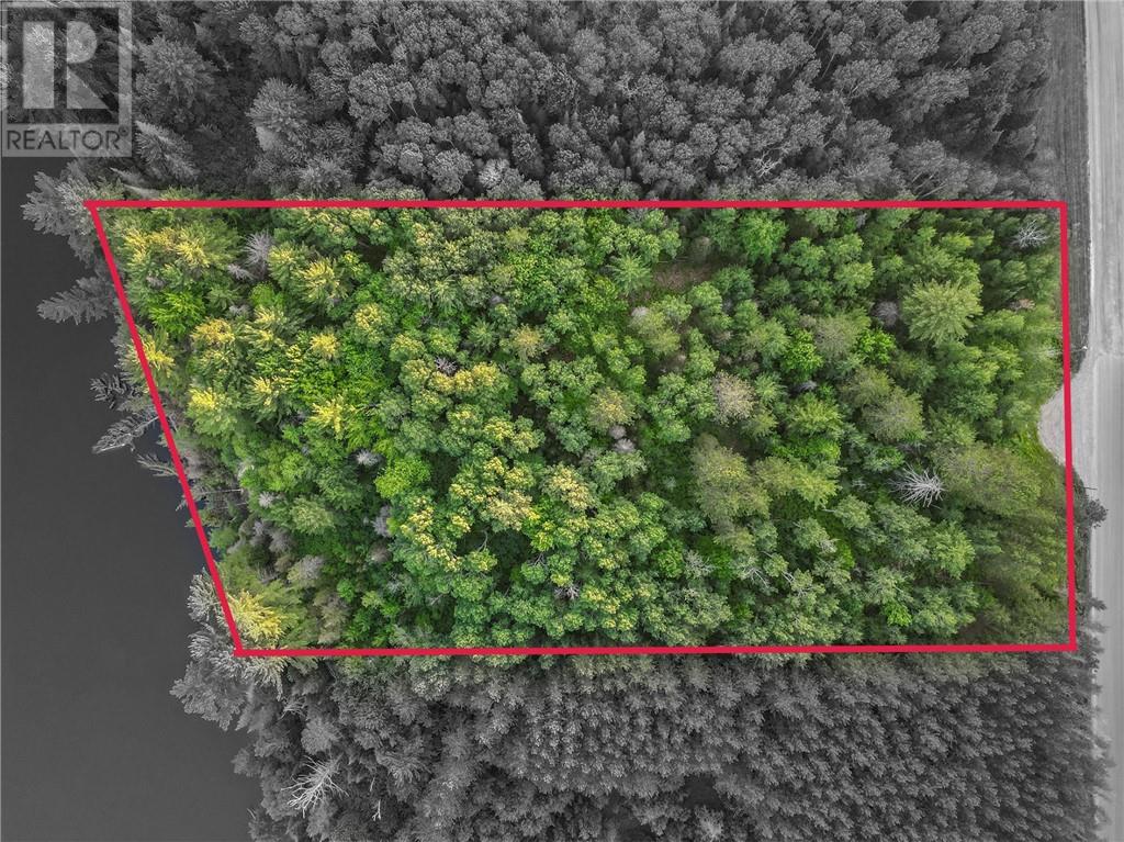 382 Old Webbwood Road Unit# Lot 9 Property Photo 3