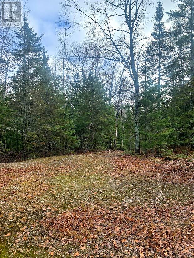 185 Baker Trail Property Photo 11