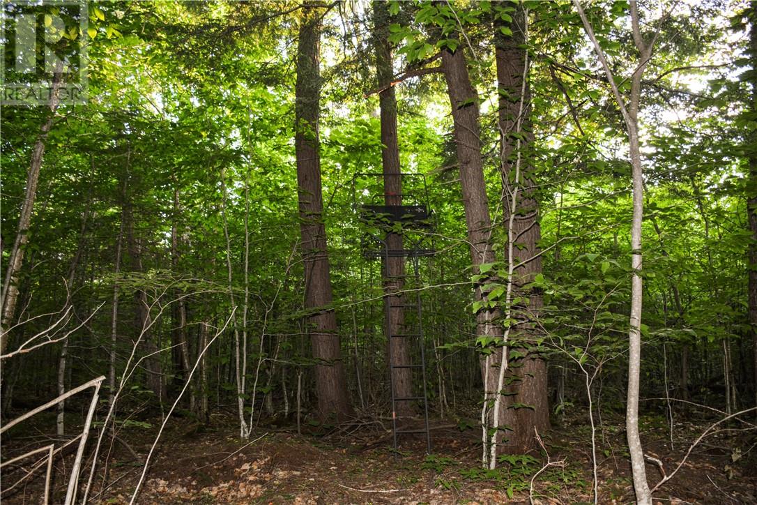 2592 P Line Road Property Photo 23