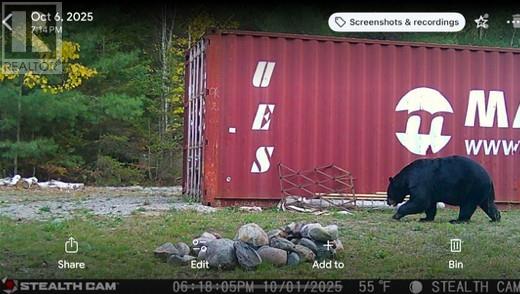 N/a Hwy 17/beckerton Shooting Range Rd Property Photo 28
