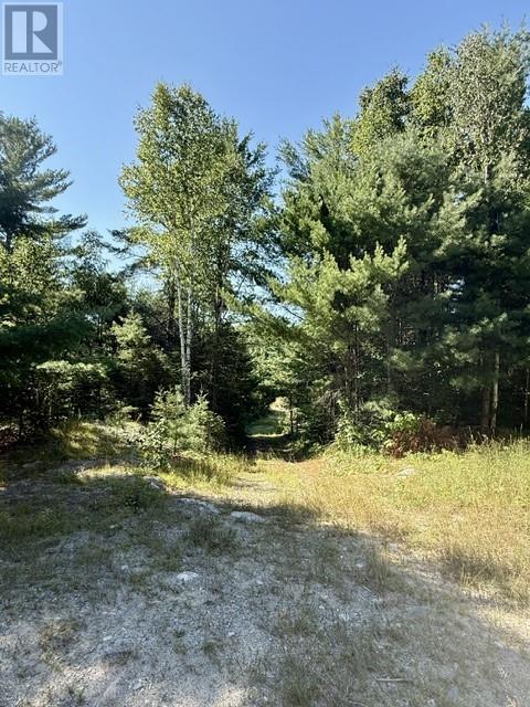 N/a Hwy 17/beckerton Shooting Range Rd Property Photo 39