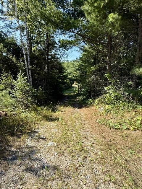N/a Hwy 17/beckerton Shooting Range Rd Property Photo 40