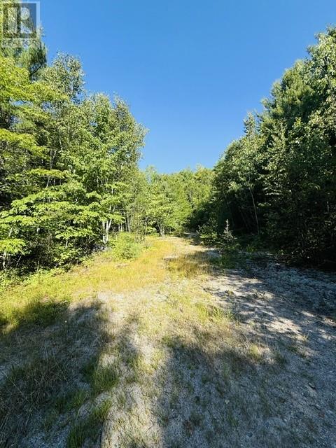 N/a Hwy 17/beckerton Shooting Range Rd Property Photo 45