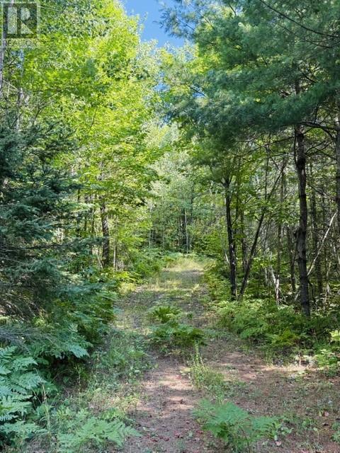 N/a Hwy 17/beckerton Shooting Range Rd Property Photo 50