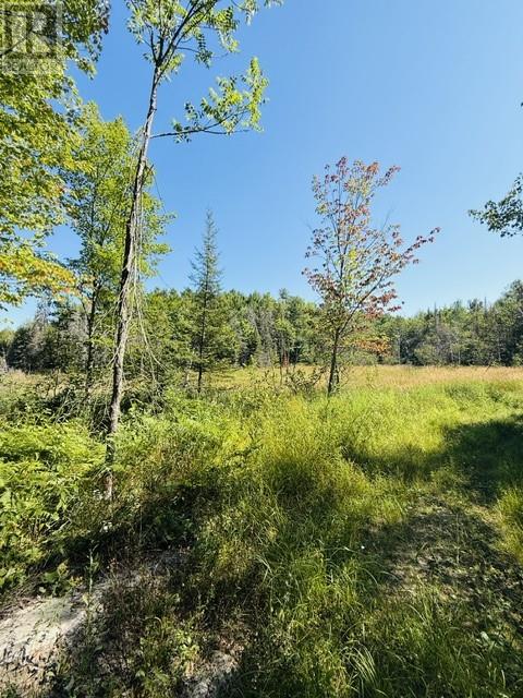 N/a Hwy 17/beckerton Shooting Range Rd Property Photo 52