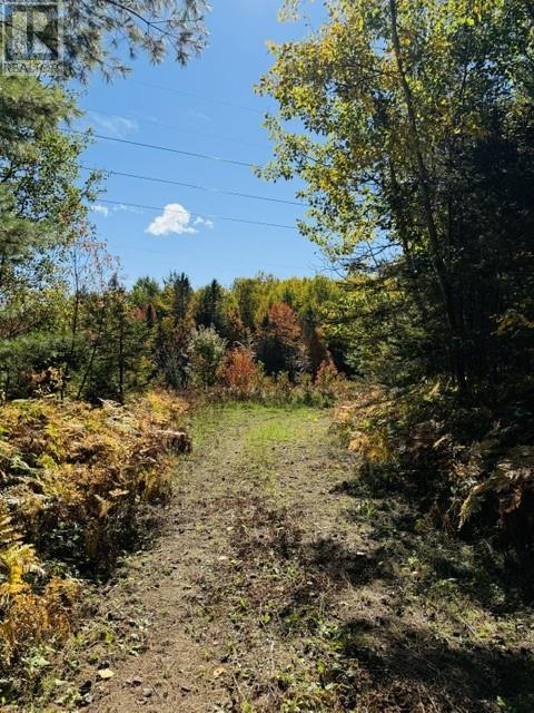 N/a Hwy 17/beckerton Shooting Range Rd Property Photo 77