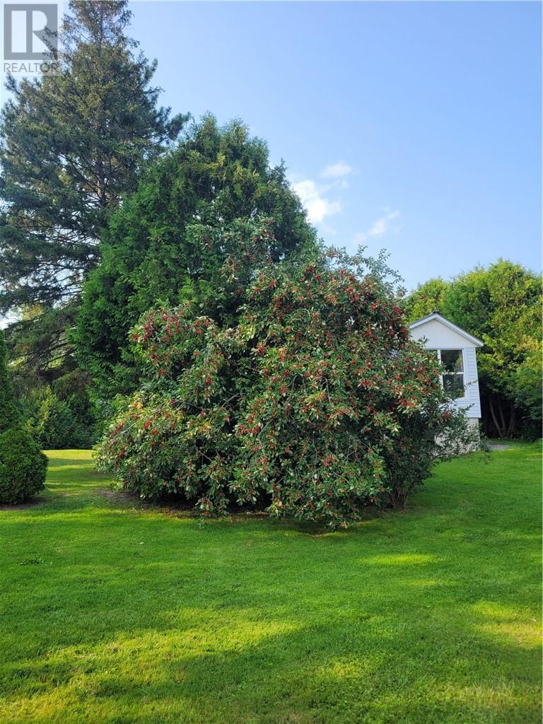 230 Lake Road Property Photo 23