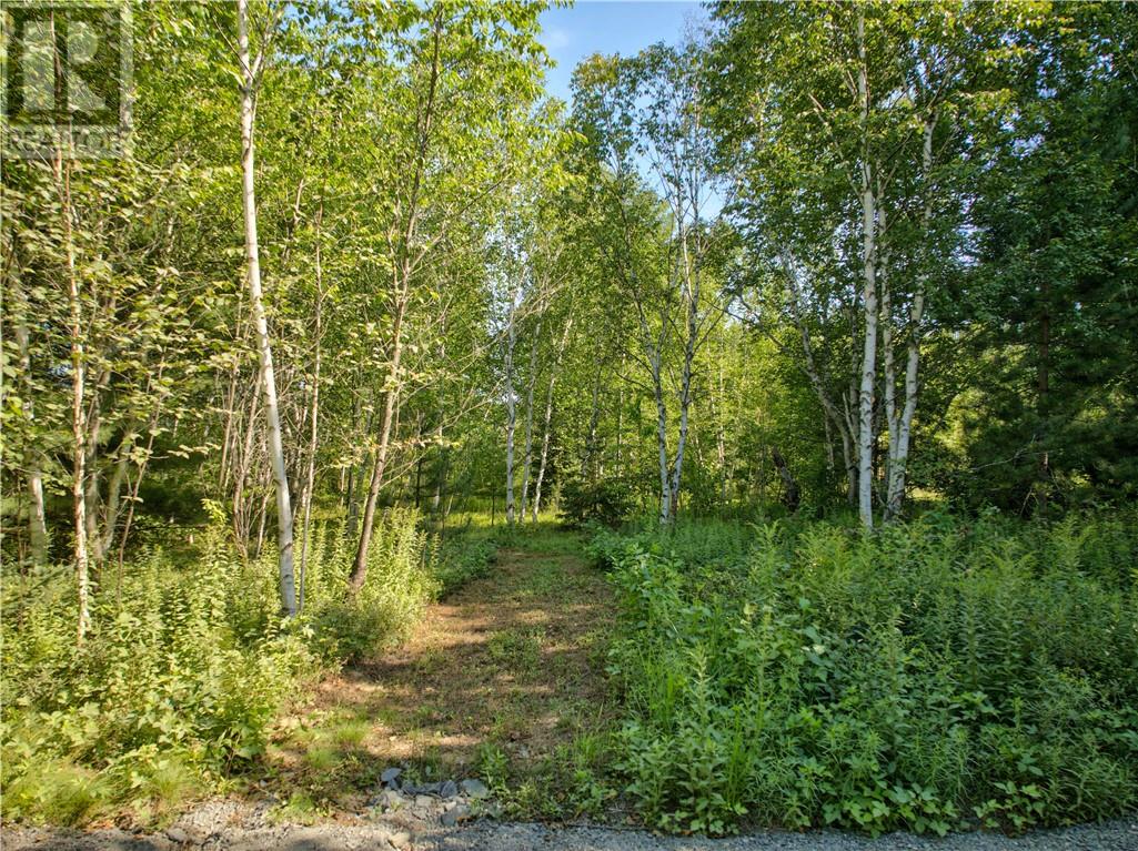 0 Highway 537 Highway Property Photo 3