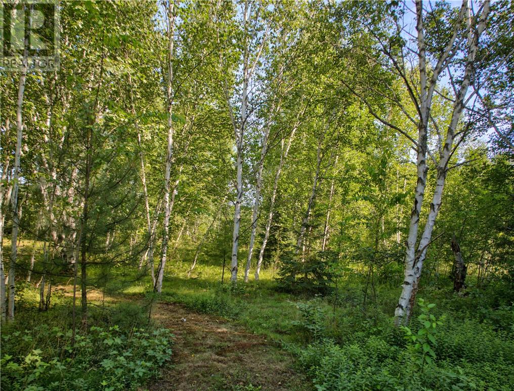 0 Highway 537 Highway Property Photo 4