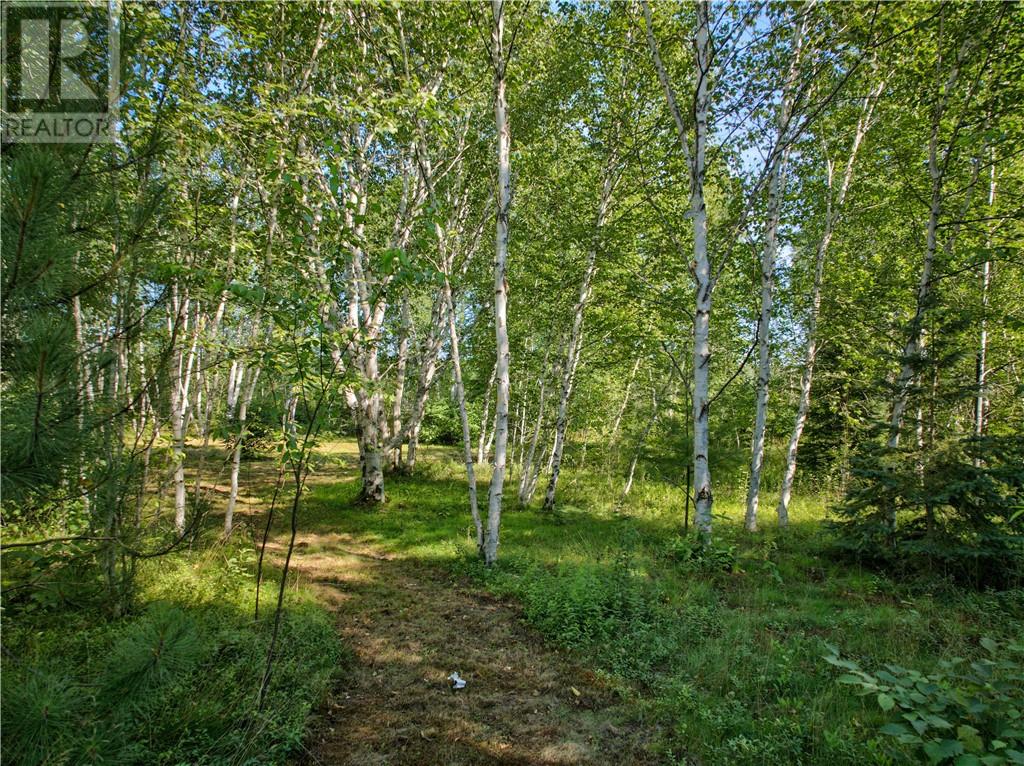 0 Highway 537 Highway Property Photo 5